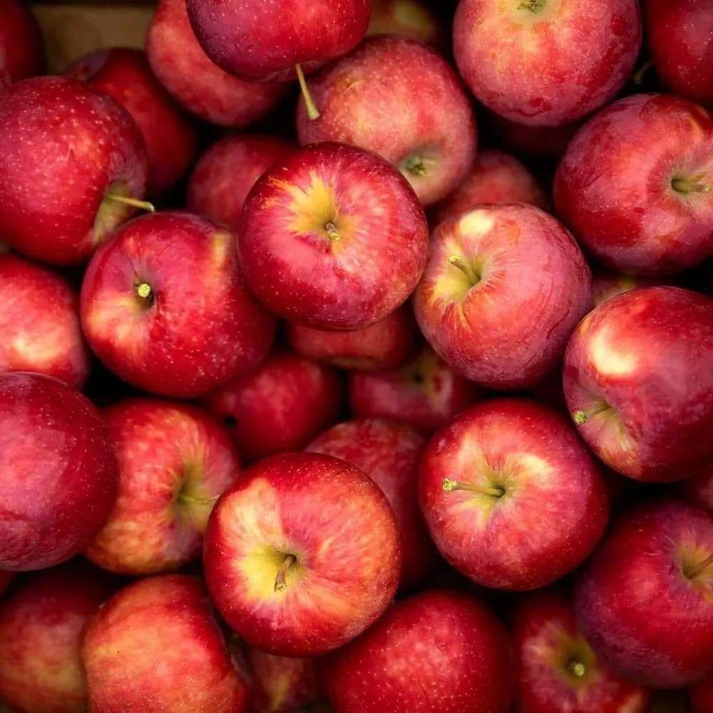 Red Apple