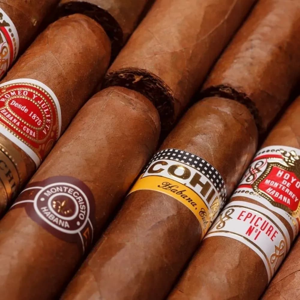 Calidad FOUR SEASONS
