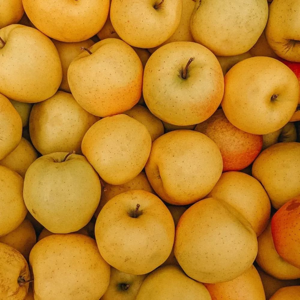 Yellow Apple