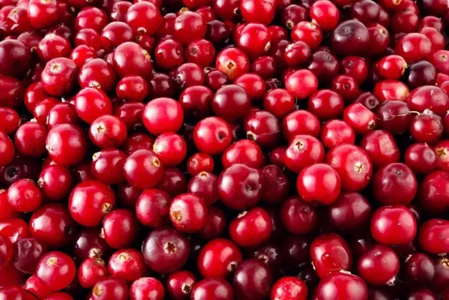 Perfil de Sabor Único