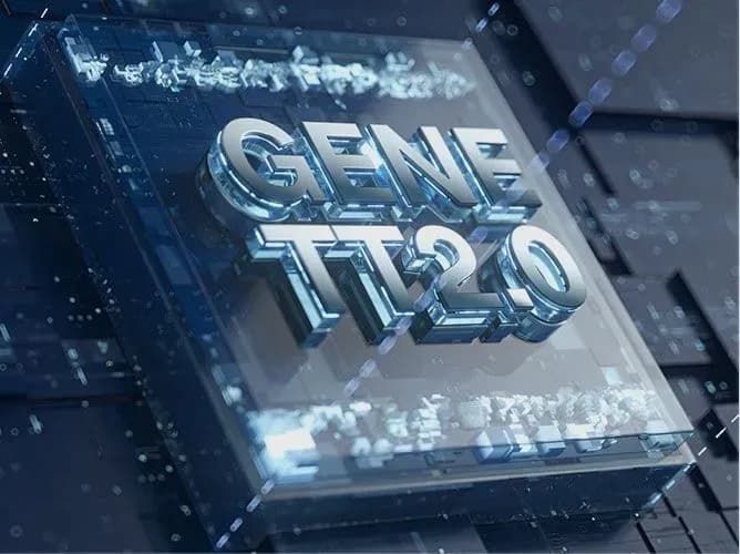 Chip GENE.TT 2.0